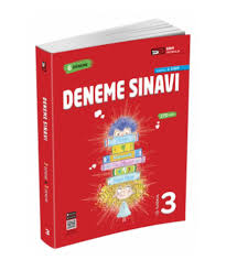3. SINIF DENEME SINAVI 6'LI