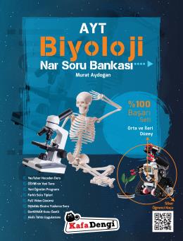 BİLGİ KÜPÜ 3. SINIF AKIL OYUNLARI -BİLGİ KÜPÜ